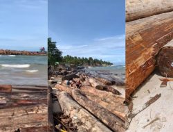 Kapal Bermuatan Kayu Asal Sumbar Terdampar di Lampung, Ini Identitasnya